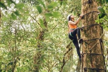 Experiencia Natural y Única de Escalar Árboles en Monteverde, Costa Rica
